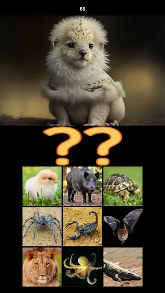 Hybrid Animals Crazy Lab Quiz (Хибридные животные Сумасшедшая лаборатория Викторина) [МОД Unlimited Money] Screenshot 5