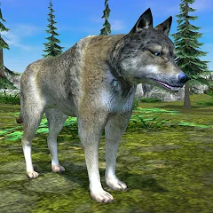 Взломанная Wolf Simulator - Animal Games  [МОД Mega Pack]