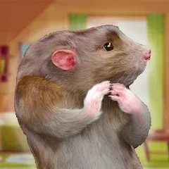 Скачать взломанную Rat Game & Mouse Simulator (Рат Лайф)  [МОД Бесконечные монеты]