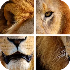 Взлом Угадай животных по фрагментам  [МОД Все открыто]