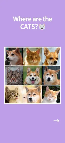 No Robots Allowed - Crazy Quiz (Но роботы не допускаются) [МОД Много монет] Screenshot 4