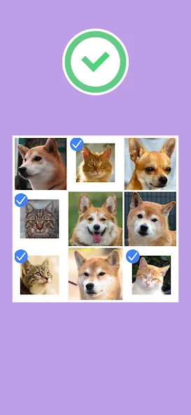 No Robots Allowed - Crazy Quiz (Но роботы не допускаются) [МОД Много монет] Screenshot 5