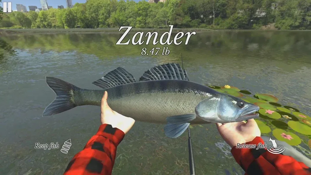 Ultimate Fishing Simulator (Ультимейт Фишинг Симулятор) [МОД Mega Pack] Screenshot 2