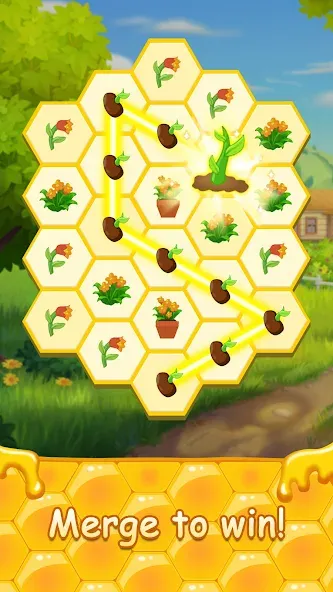 Honey Bottles - merge puzzle (Хани Ботлс) [МОД Много денег] Screenshot 2
