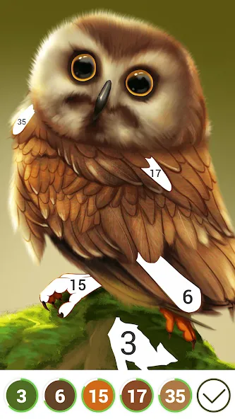 Hola Color--Coloring by Number (ола калор) [МОД Mega Pack] Screenshot 3