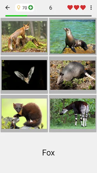 Animals Quiz Learn All Mammals [МОД Mega Pack] Screenshot 2