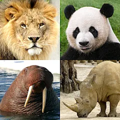 Взломанная Animals Quiz Learn All Mammals  [МОД Mega Pack]