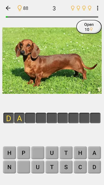 Dogs Quiz - Guess All Breeds! [МОД Mega Pack] Screenshot 2