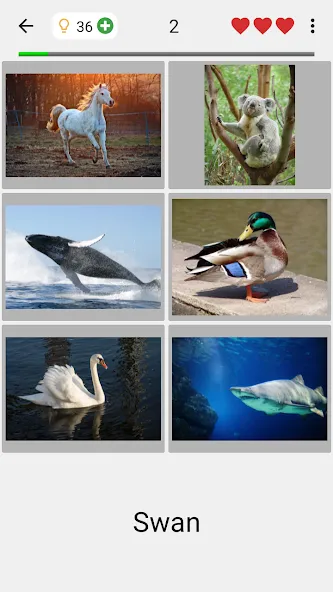 Guess Pictures and Words Quiz [МОД Все открыто] Screenshot 2