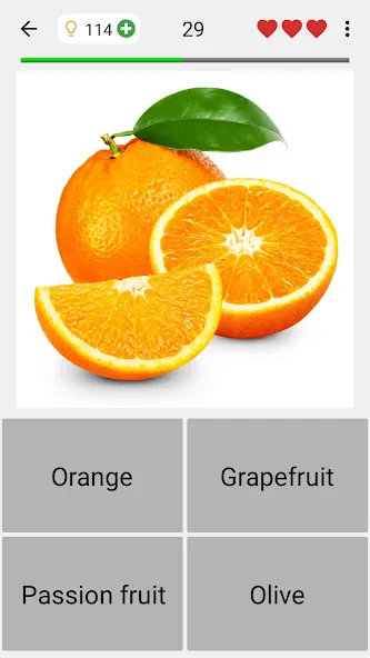 Fruit and Vegetables - Quiz [МОД Много монет] Screenshot 4
