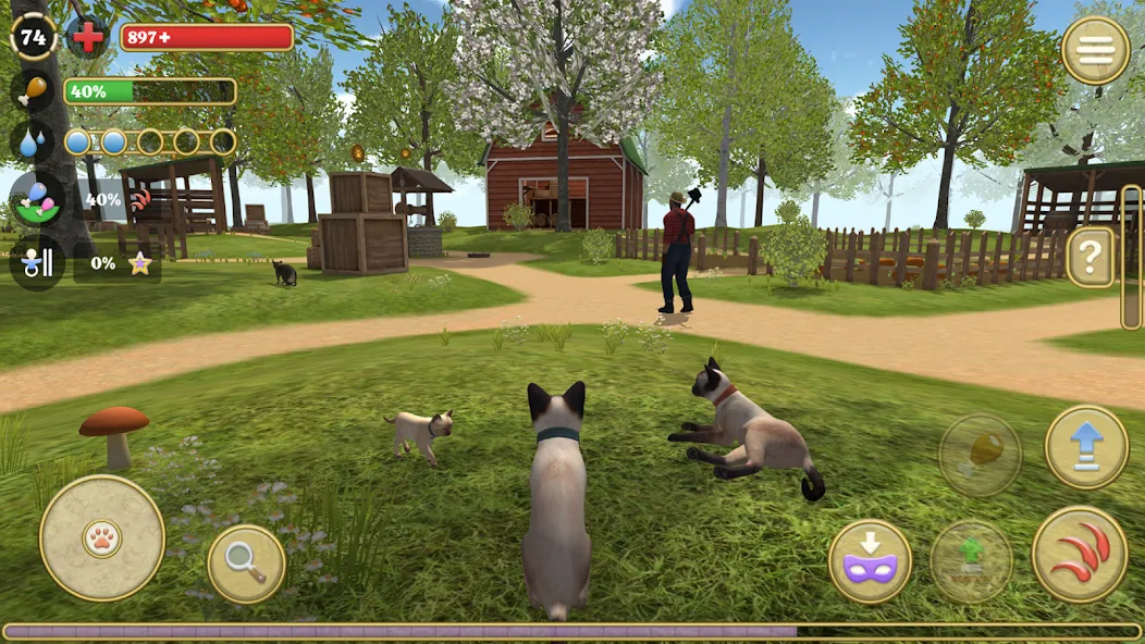 Cat Simulator : Kitties Family [МОД Много денег] Screenshot 1