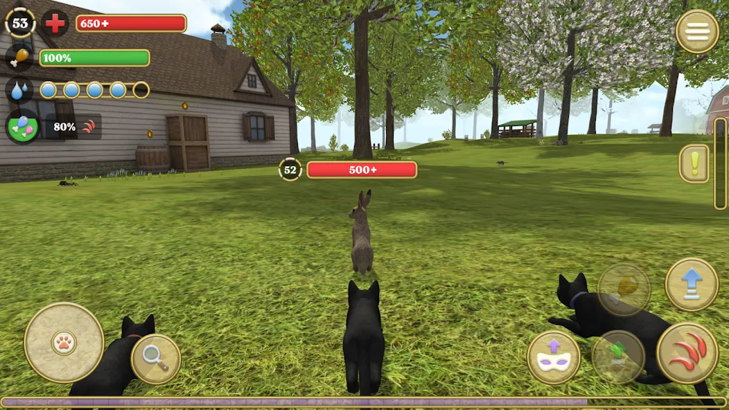 Cat Simulator : Kitties Family [МОД Много денег] Screenshot 2