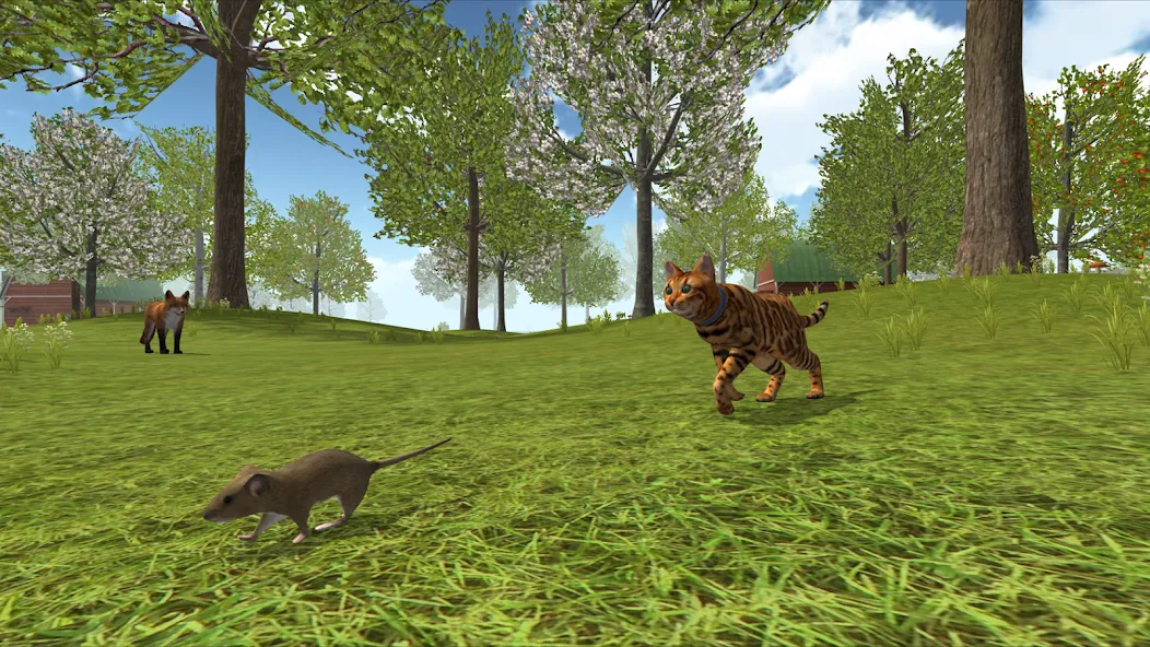 Cat Simulator : Kitties Family [МОД Много денег] Screenshot 4