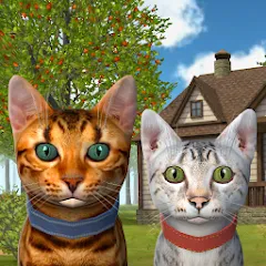 Скачать взлом Cat Simulator : Kitties Family  [МОД Много денег]