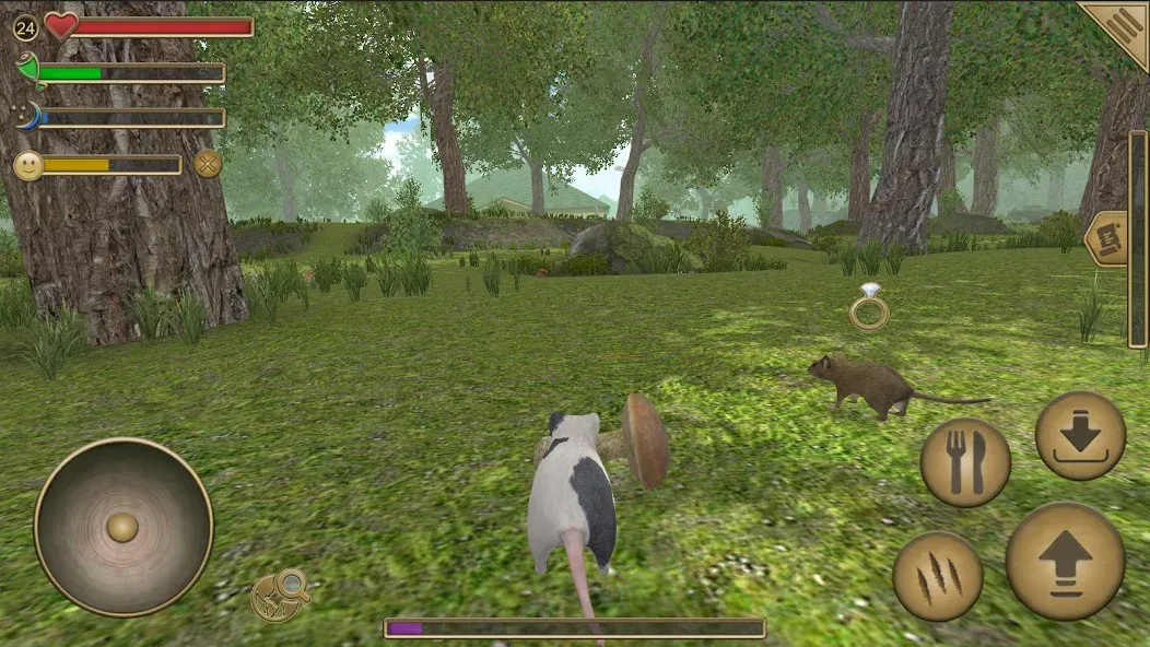 Mouse Simulator : Forest Home [МОД Много денег] Screenshot 1