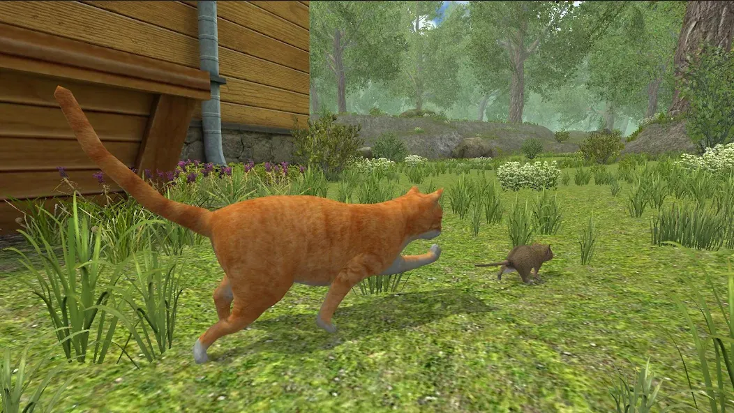 Mouse Simulator : Forest Home [МОД Много денег] Screenshot 3