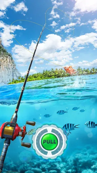 Fishing Rival 3D (Фишинг Ривал 3Д) [МОД Unlimited Money] Screenshot 1