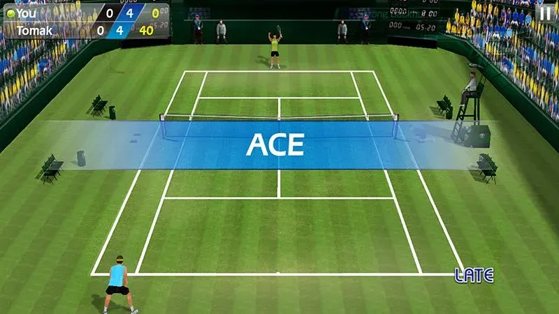 3D Tennis [МОД Menu] Screenshot 2