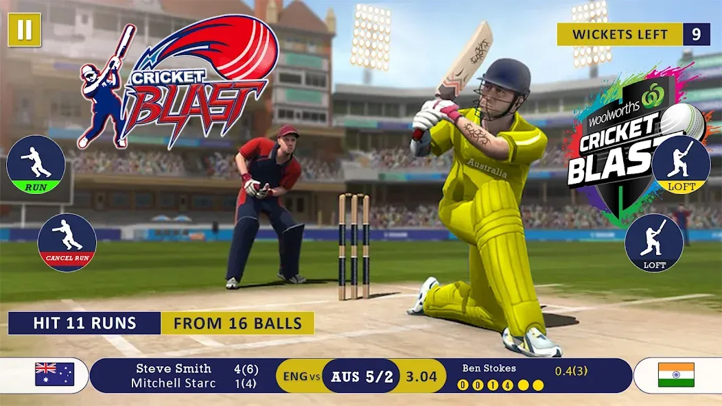 World Cricket Games Offline [МОД Mega Pack] Screenshot 1