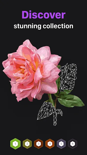 Polygon - Art Coloring Book (Полигон) [МОД Много монет] Screenshot 2