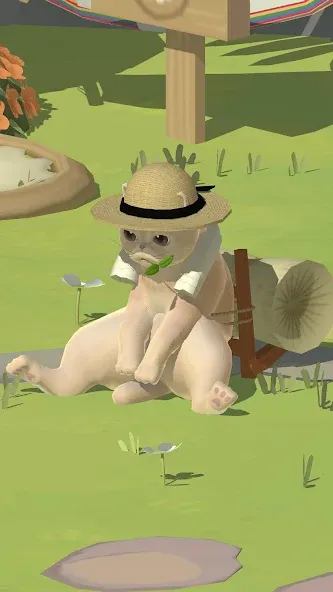 Kitty Cat Resort [МОД Menu] Screenshot 4