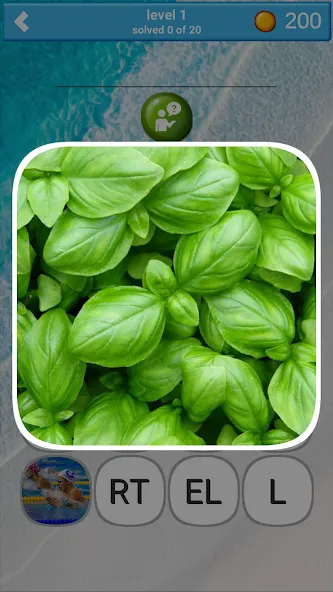 780 words (семьсот восемьдесят) [МОД Бесконечные деньги] Screenshot 4