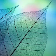 Скачать взлом 780 words (семьсот восемьдесят)  [МОД Бесконечные деньги]