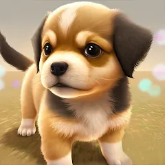 Взломанная Dog Town: Puppy Pet Shop Games (Догтаун)  [МОД Бесконечные монеты]