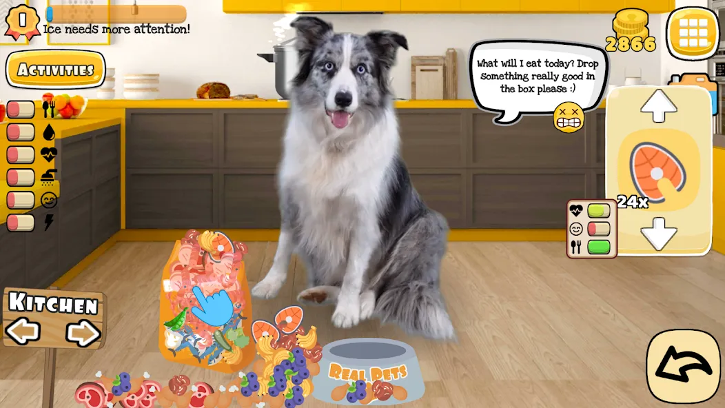 Adopt a pet : Corgi Games (Риал Петс бай Фруви) [МОД Много денег] Screenshot 1