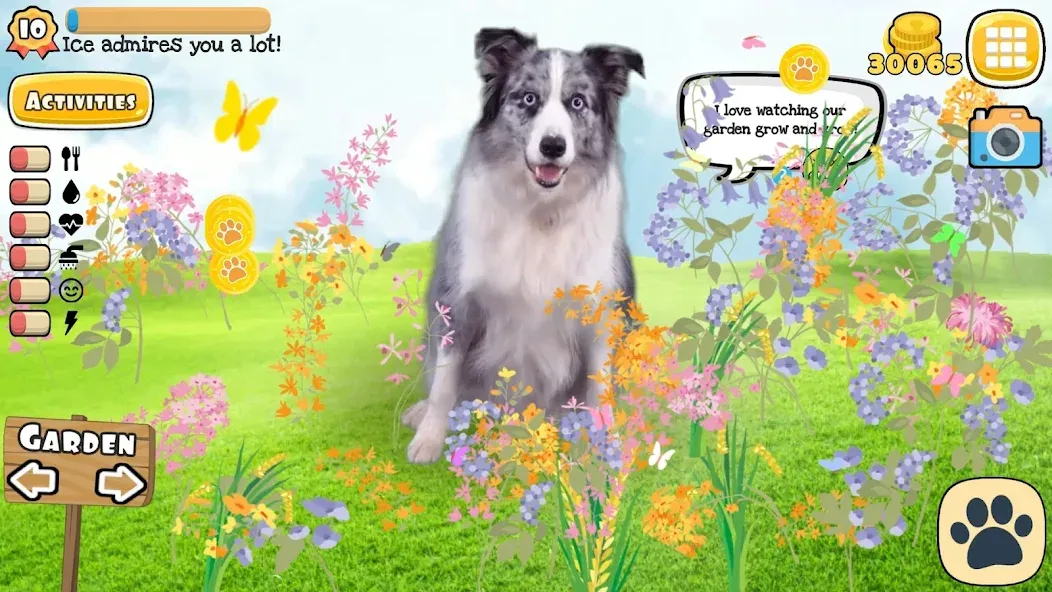 Adopt a pet : Corgi Games (Риал Петс бай Фруви) [МОД Много денег] Screenshot 4