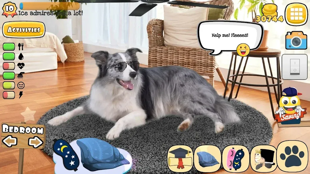 Adopt a pet : Corgi Games (Риал Петс бай Фруви) [МОД Много денег] Screenshot 5