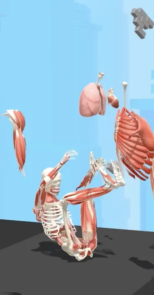 Human Run (Хуман Ран) [МОД Бесконечные монеты] Screenshot 2