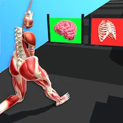 Скачать взломанную Human Run (Хуман Ран)  [МОД Бесконечные монеты]