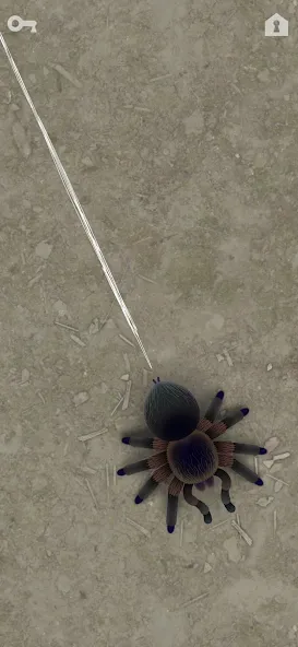 CAT ALONE 2 - Cat Toy (САТ АЛОНЕ 2) [МОД Unlocked] Screenshot 4