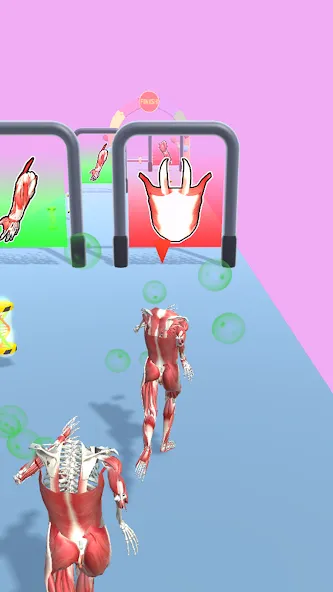 Human Evolution Run [МОД Много денег] Screenshot 1