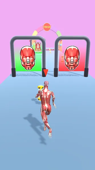 Human Evolution Run [МОД Много денег] Screenshot 5