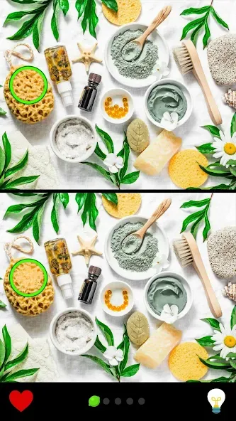 Find the Difference 1000+ [МОД Бесконечные монеты] Screenshot 4