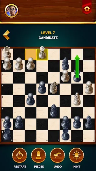Chess - Offline Board Game [МОД Menu] Screenshot 5