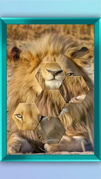 Jigsaw Puzzle - Jigsort Master (Джигсорт Пазл) [МОД Много денег] Screenshot 2