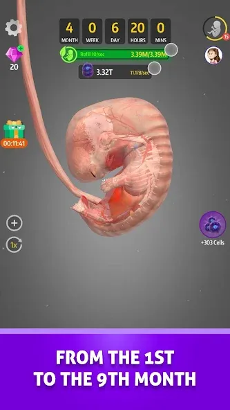 Idle 9 Months (Айдл 9 месяцев) [МОД Все открыто] Screenshot 3