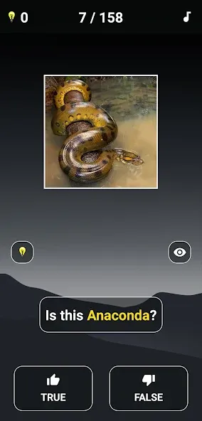 Animal Quiz: Guess the Animal [МОД Menu] Screenshot 3