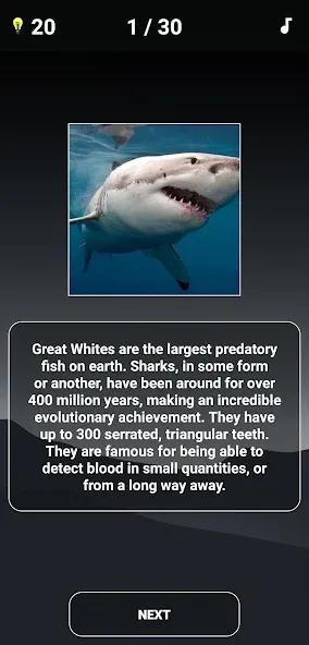 Animal Quiz: Guess the Animal [МОД Menu] Screenshot 4