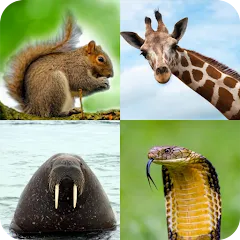 Взломанная Animal Quiz: Guess the Animal  [МОД Menu]