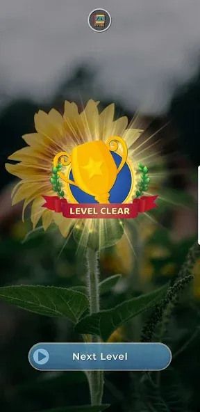 world of words (ворлд оф вордс) [МОД Mega Pack] Screenshot 3