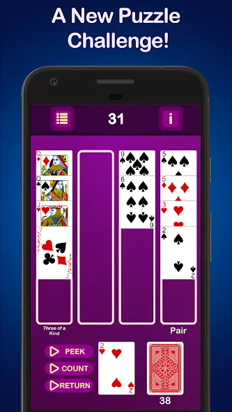 Puzzle Poker Joker's Wild [МОД Unlimited Money] Screenshot 1