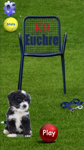 K9 Euchre (К9 Юкер) [МОД Много монет] Screenshot 1