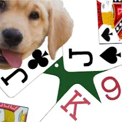Взломанная K9 Euchre (К9 Юкер)  [МОД Много монет]