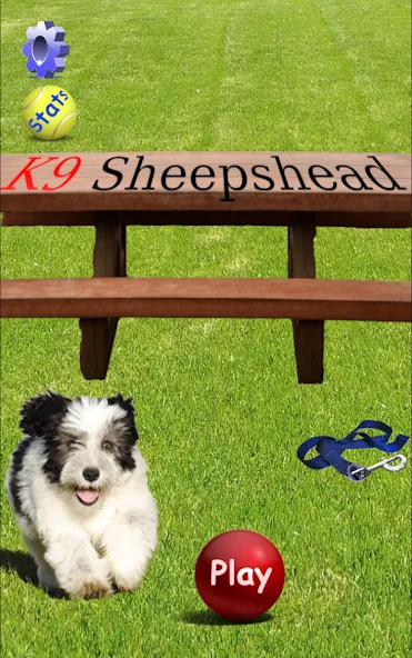 K9 Sheepshead (Schafkopf) (Шипсхед) [МОД Много денег] Screenshot 1