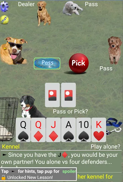 K9 Sheepshead (Schafkopf) (Шипсхед) [МОД Много денег] Screenshot 2