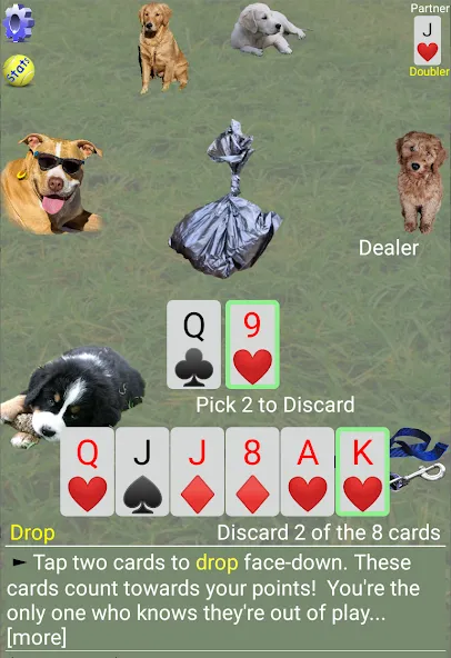 K9 Sheepshead (Schafkopf) (Шипсхед) [МОД Много денег] Screenshot 3